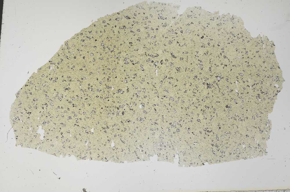 Plane Polarized, S30262