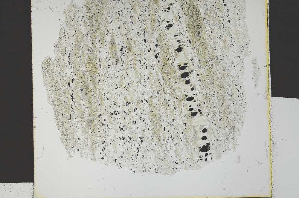 Plane Polarized, S30263