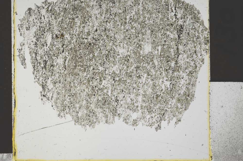 Plane Polarized, S30265