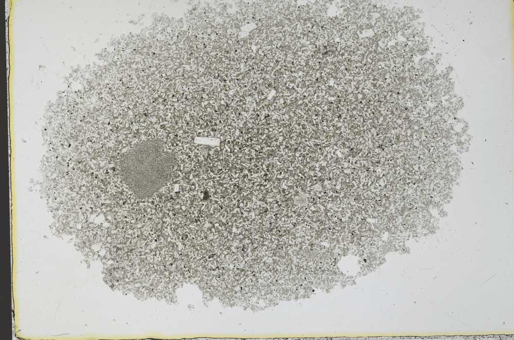 Plane Polarized, S30289