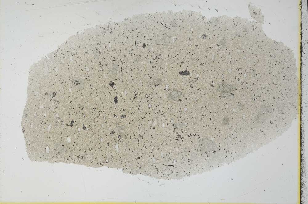 Plane Polarized, S30309