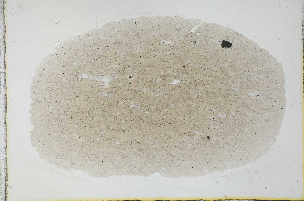 Plane Polarized, S30317