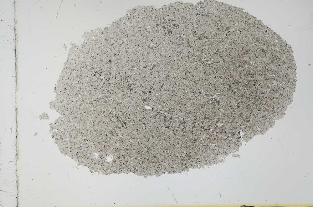 Plane Polarized, S30321