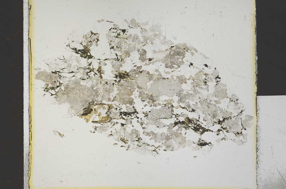 Plane Polarized, S30381