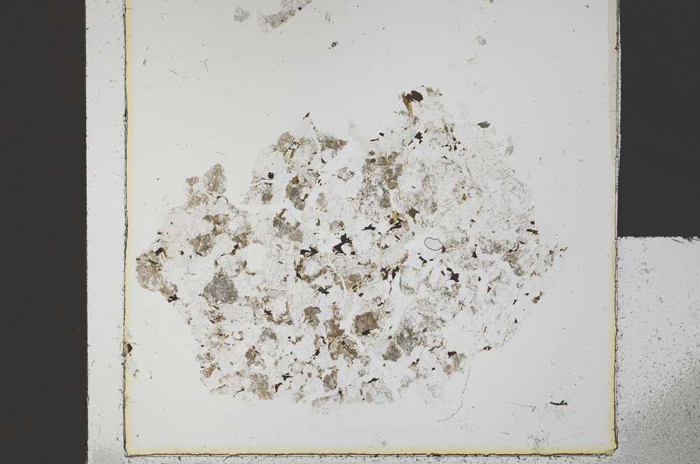 Plane Polarized, S30384