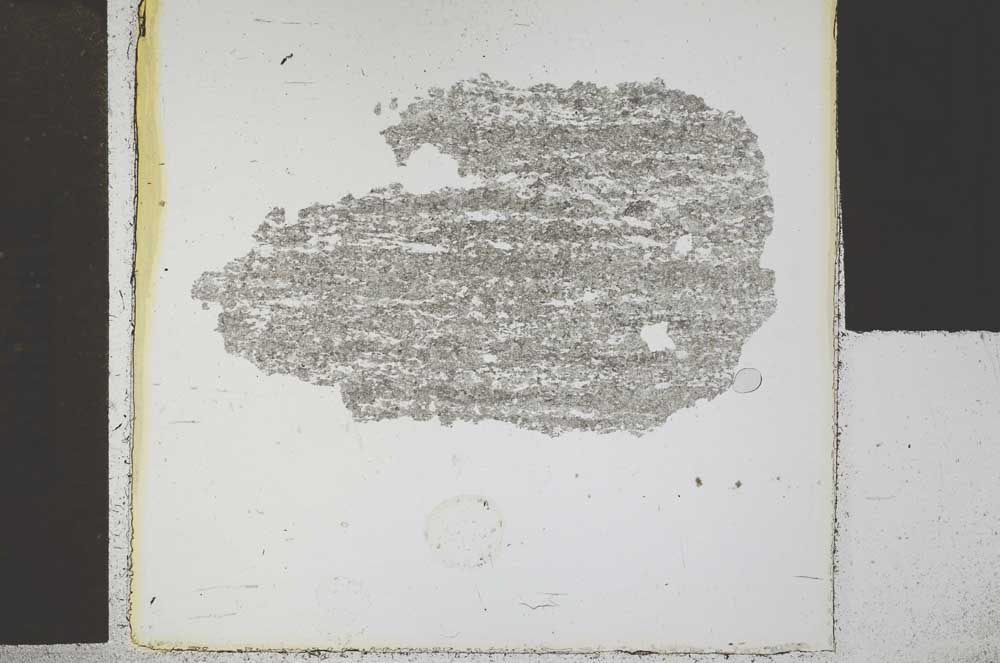 Plane Polarized, S30436