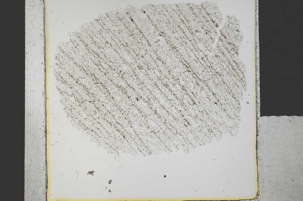 Plane Polarized, S30444