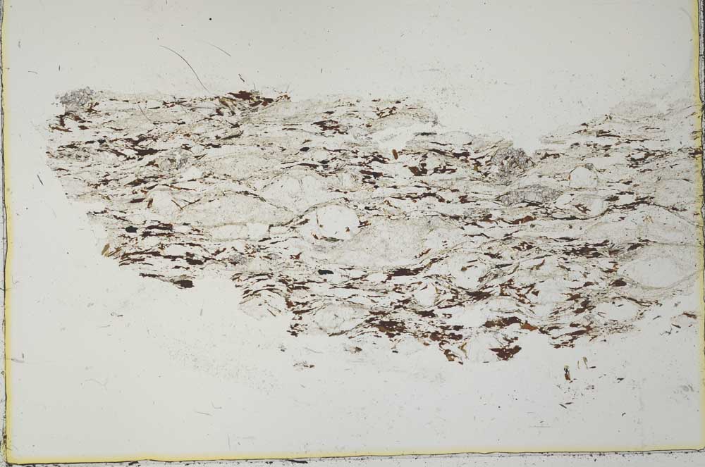 Plane Polarized, S30623