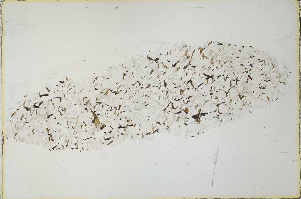Plane Polarized, S30627