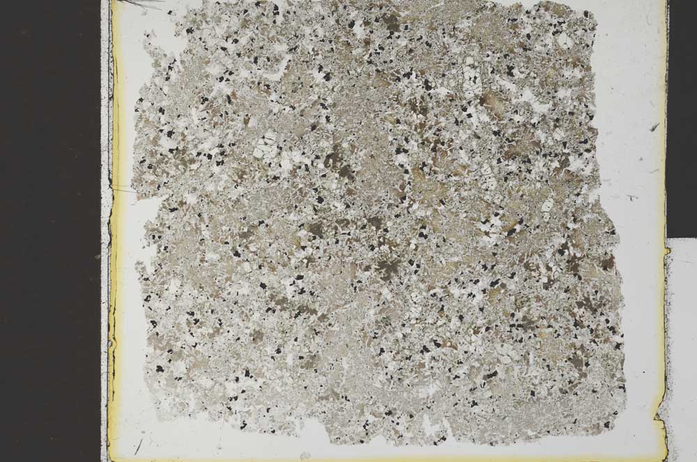 Plane Polarized, S30681