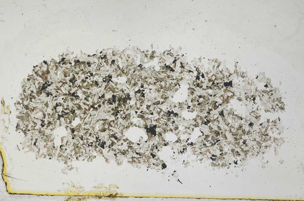 Plane Polarized, S30695