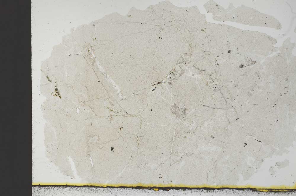 Plane Polarized, S30744