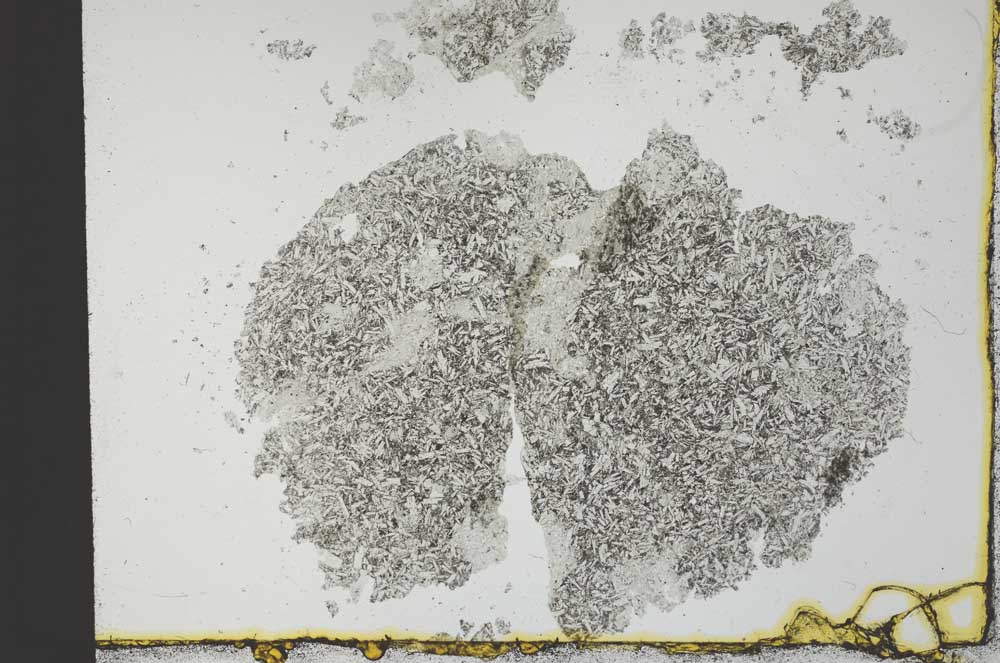 Plane Polarized, S30758