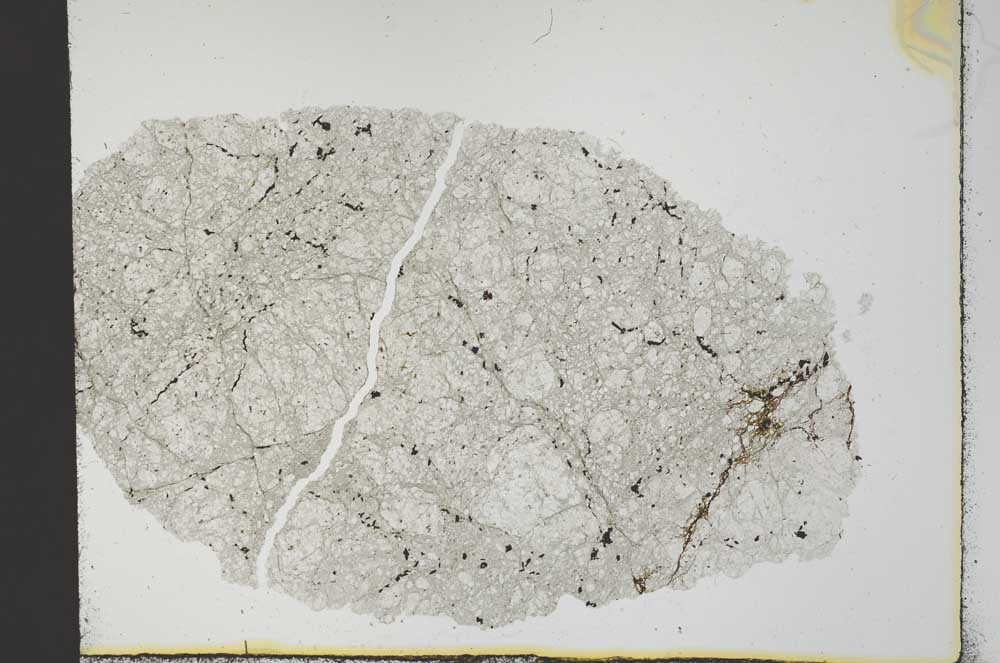 Plane Polarized, S30769