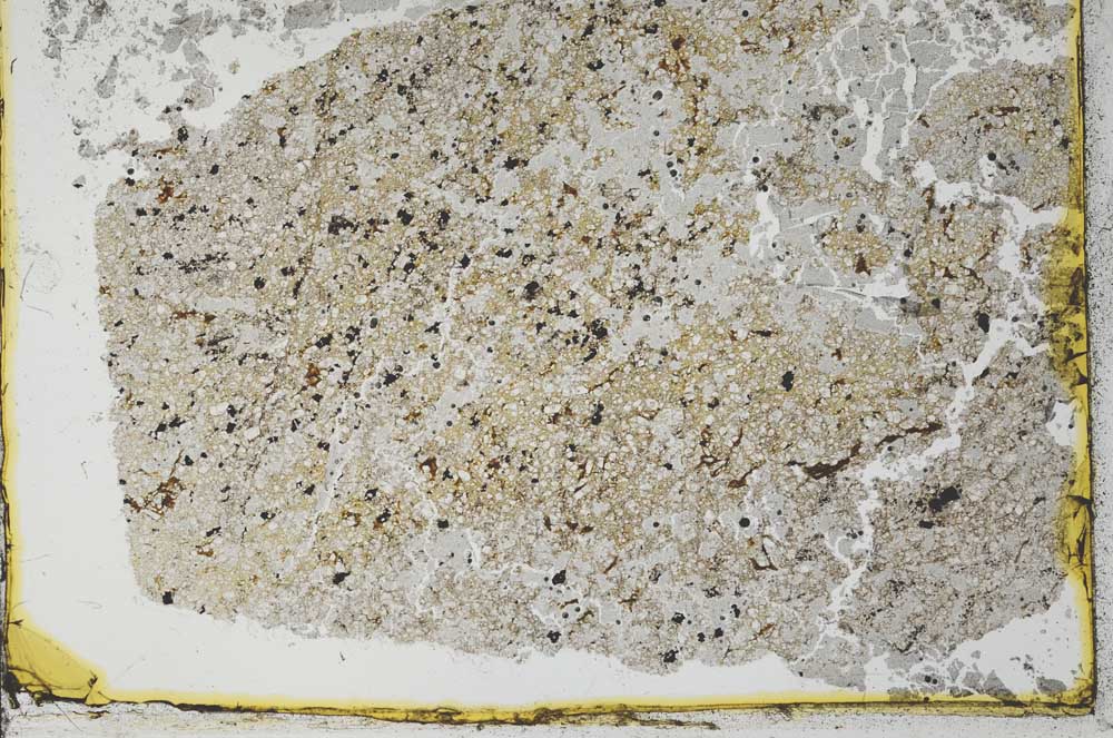 Plane Polarized, S30850