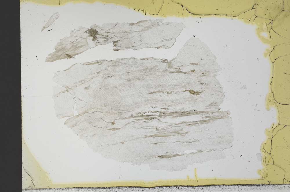 Plane Polarized, S30878