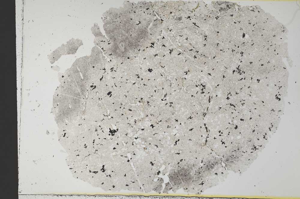 Plane Polarized, S30904