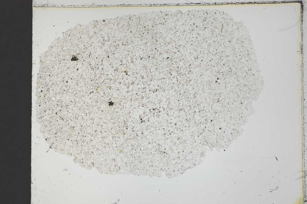 Plane Polarized, S30912