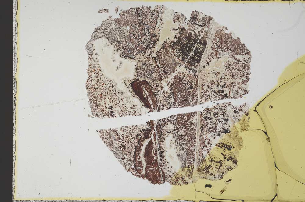 Plane Polarized, S30941