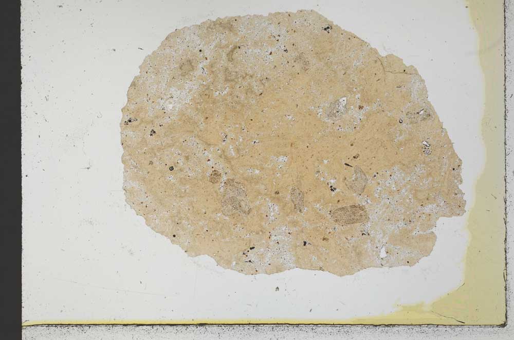 Plane Polarized, S30943