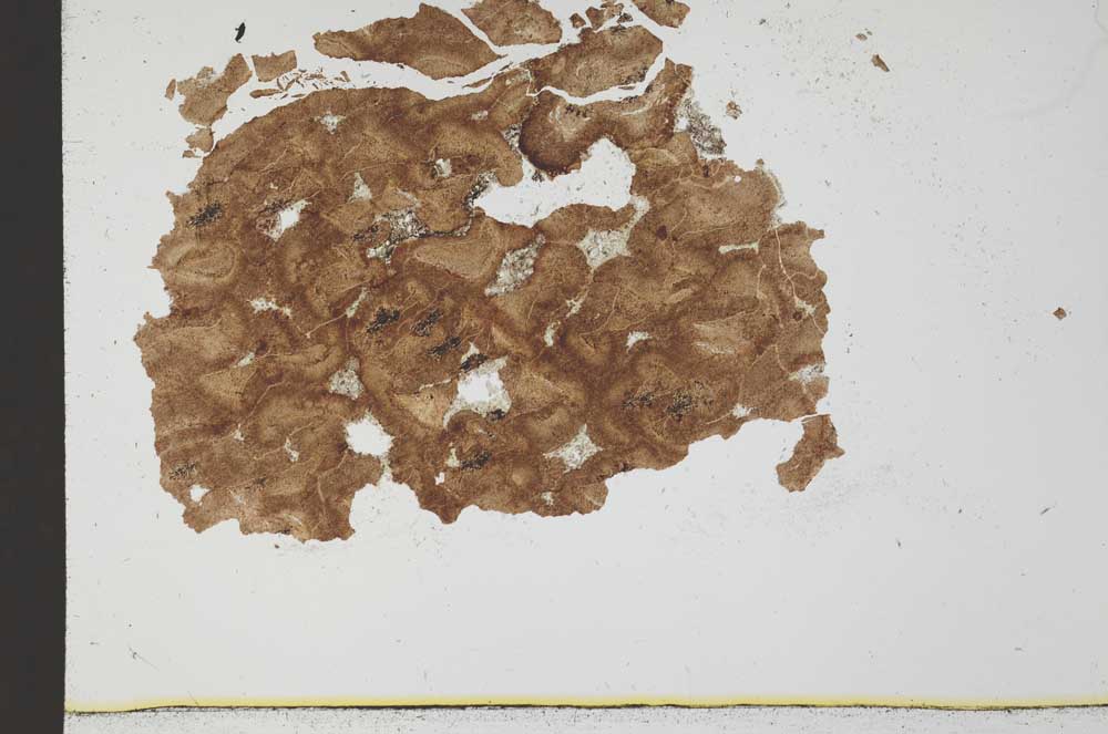 Plane Polarized, S30954