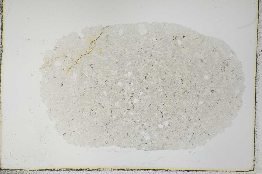 Plane Polarized, S30995