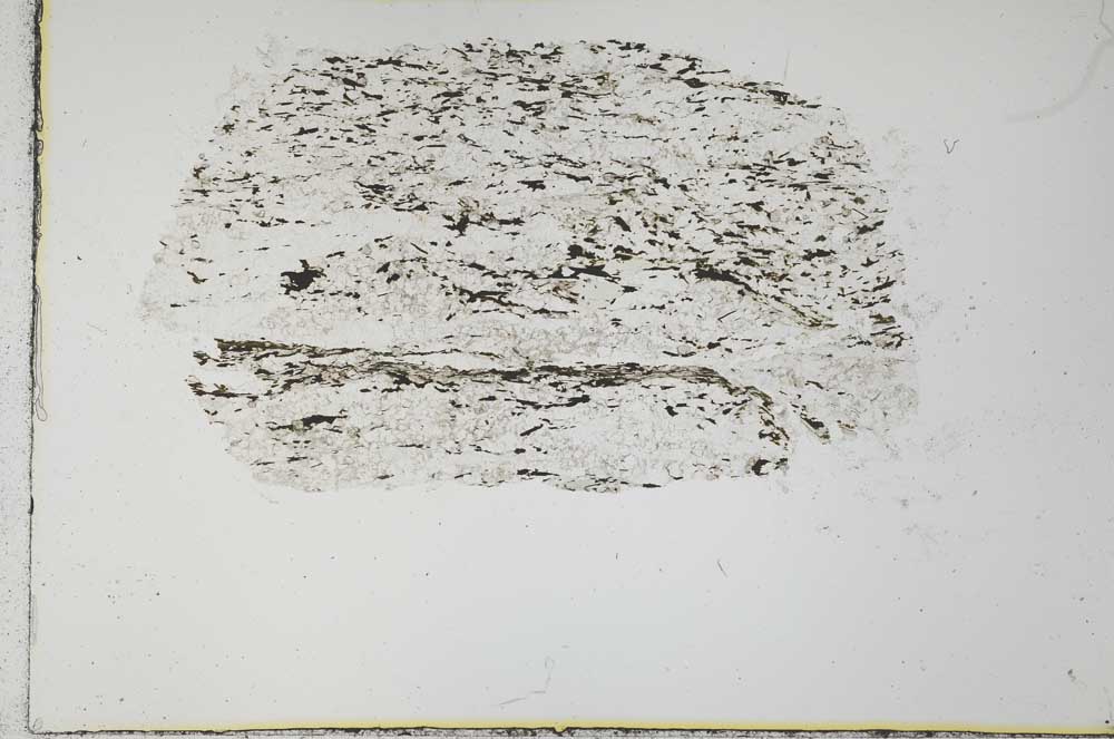 Plane Polarized, S30997