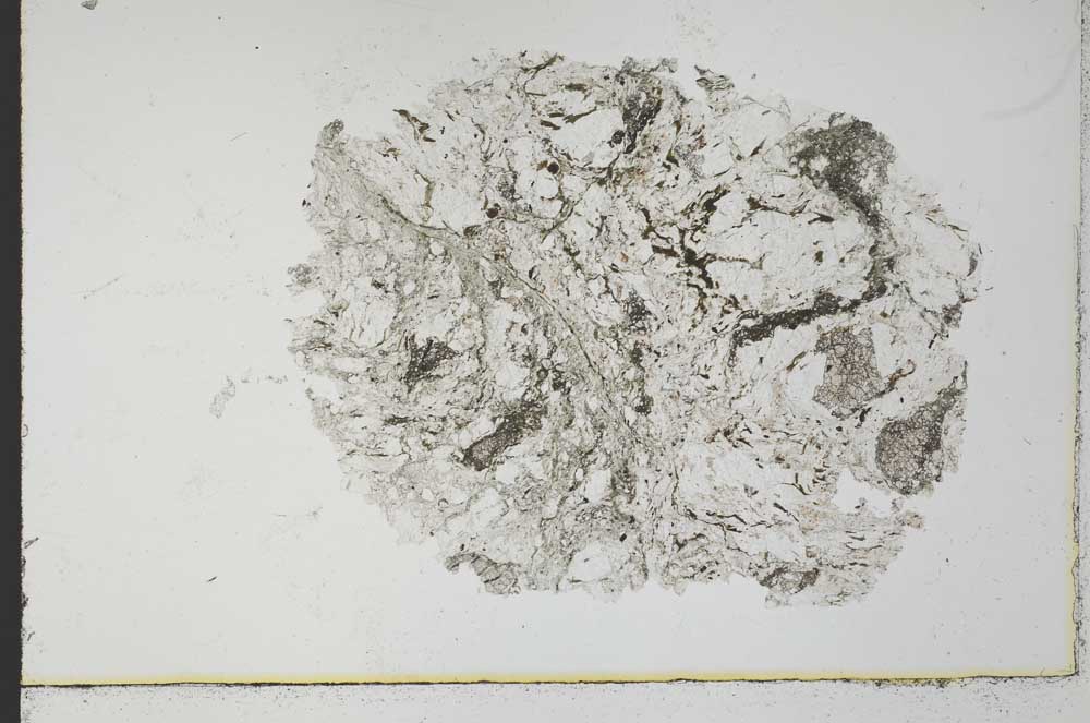 Plane Polarized, S31004