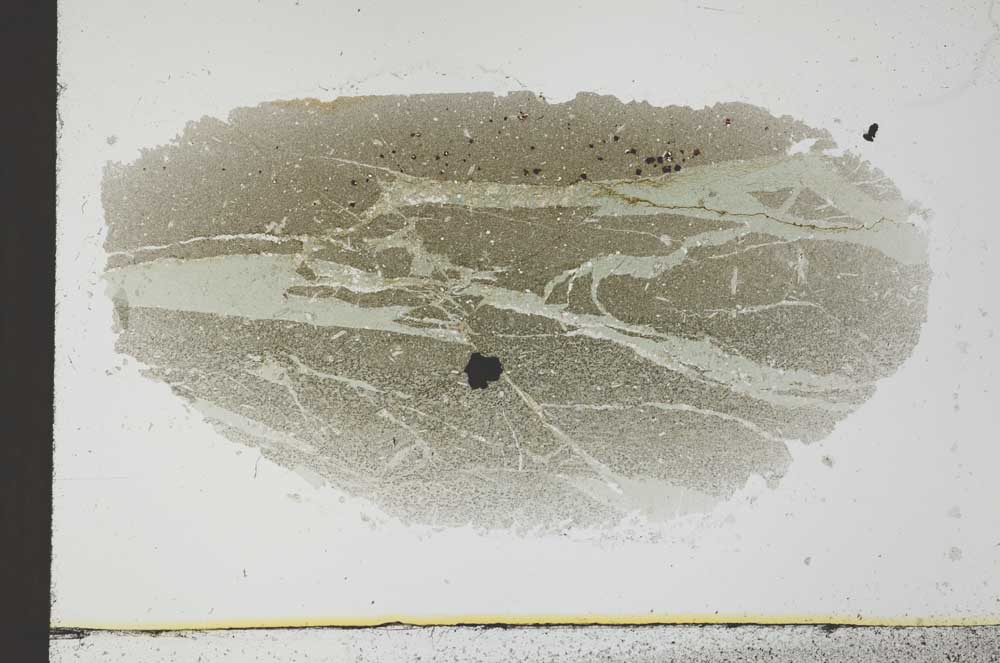 Plane Polarized, S31005