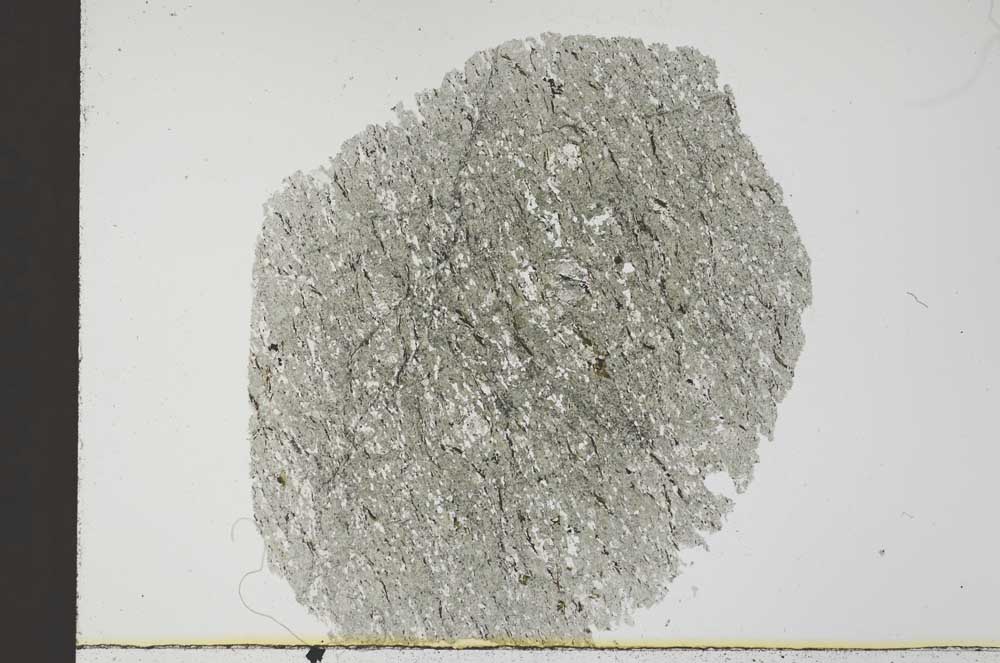 Plane Polarized, S31010