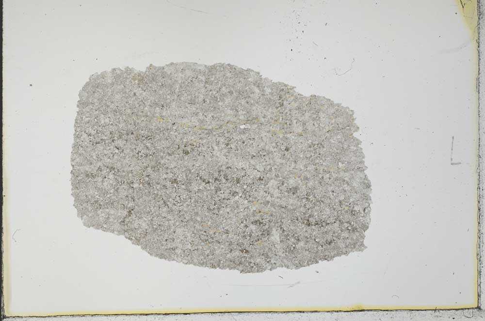 Plane Polarized, S31011