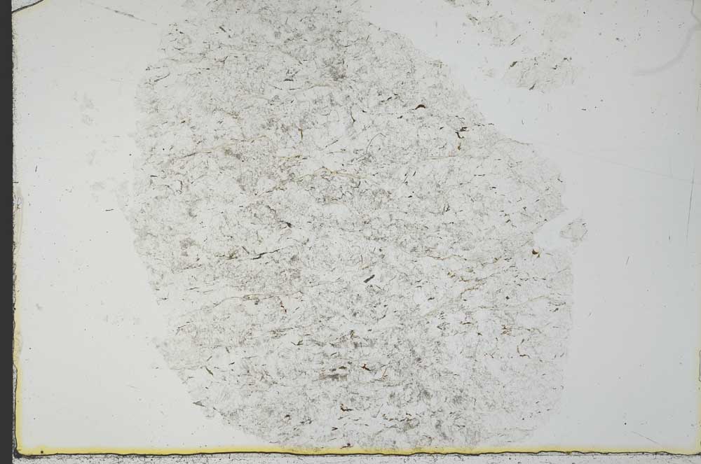 Plane Polarized, S31014