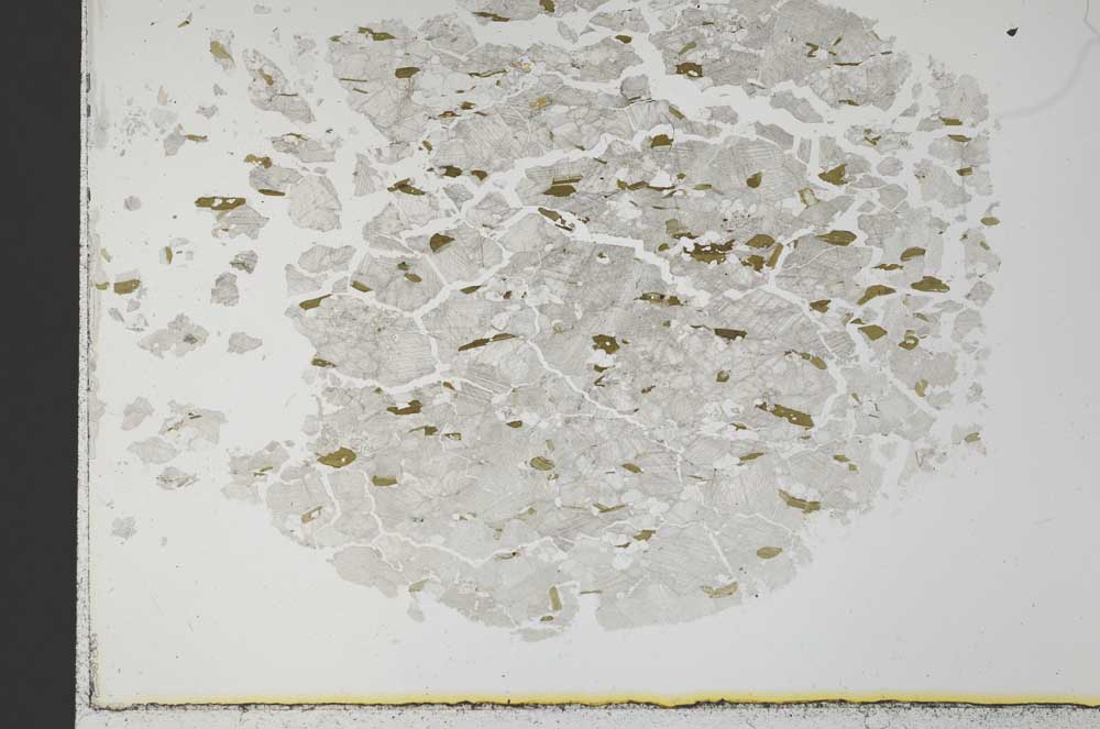 Plane Polarized, S31016