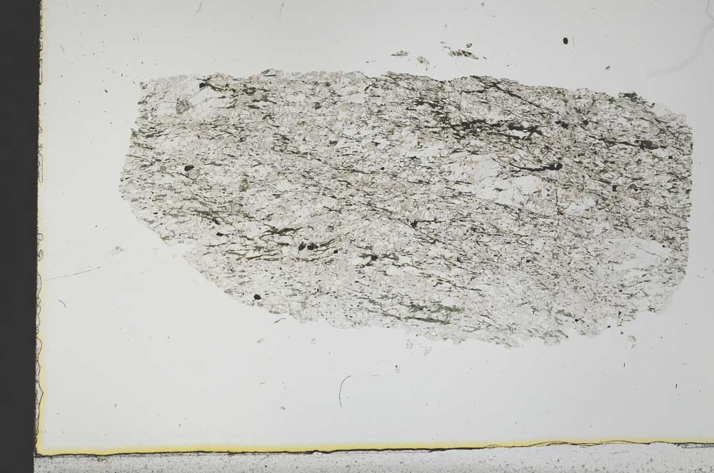 Plane Polarized, S31017