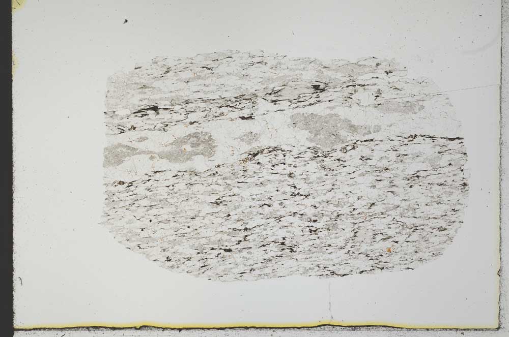 Plane Polarized, S31019