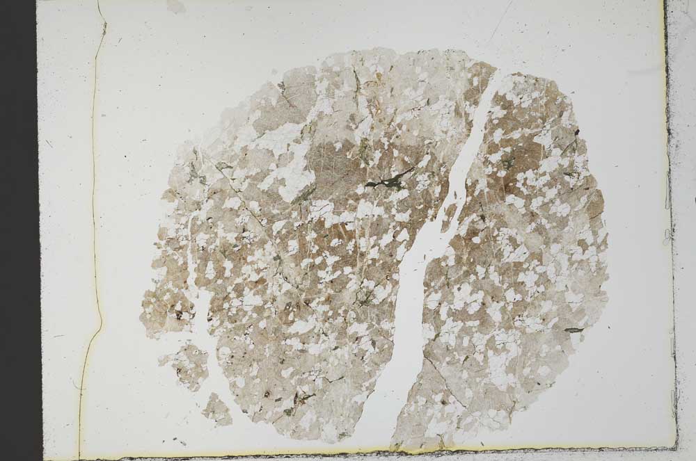 Plane Polarized, S31020