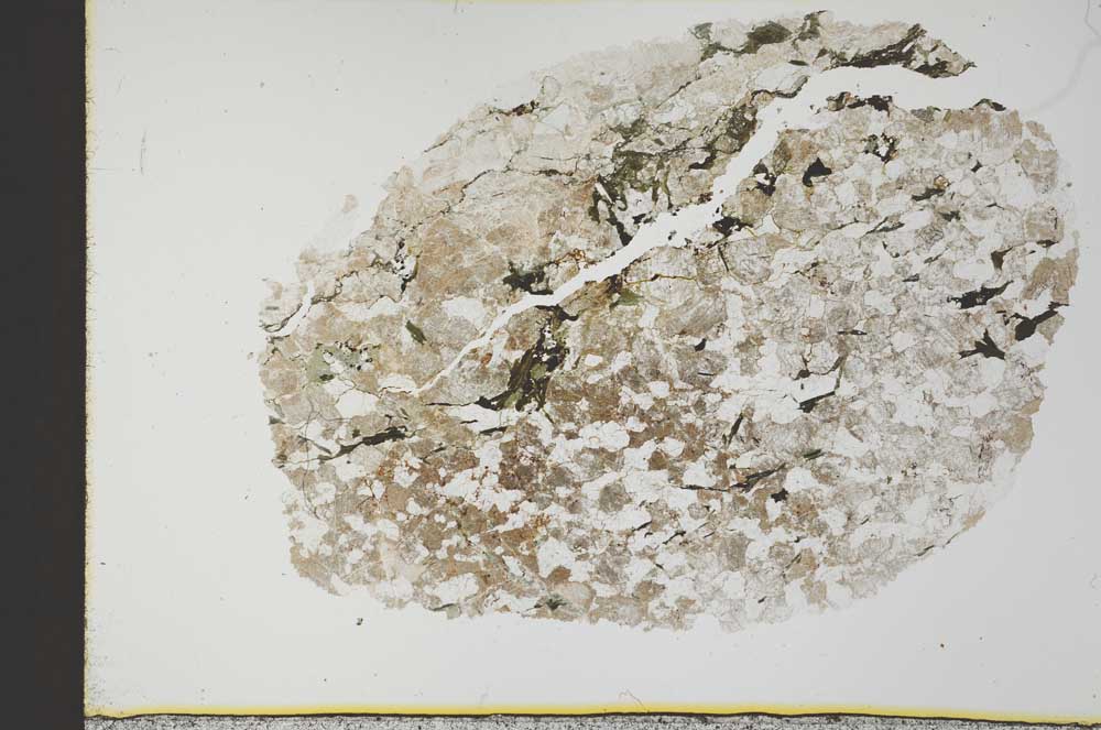 Plane Polarized, S31021