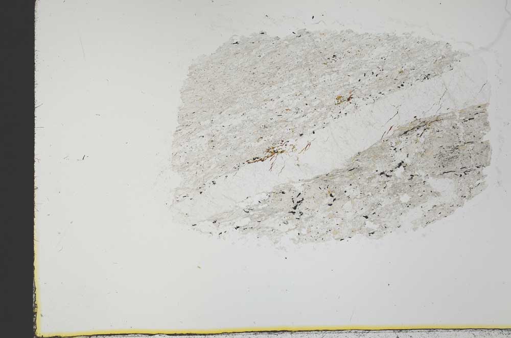 Plane Polarized, S31022