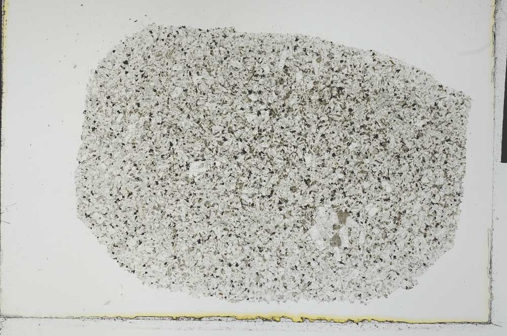 Plane Polarized, S31023