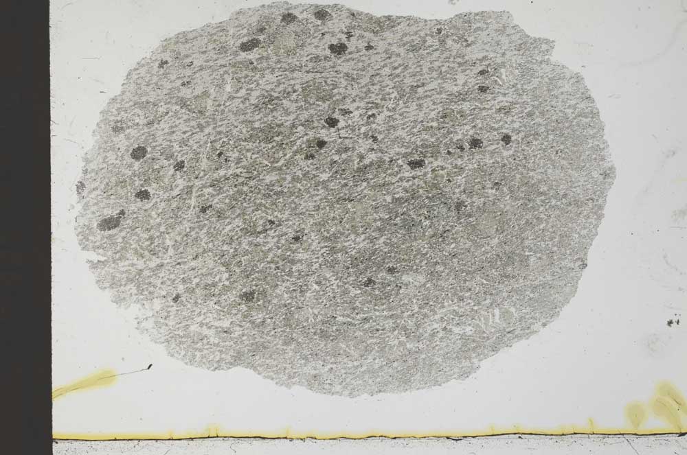 Plane Polarized, S31044