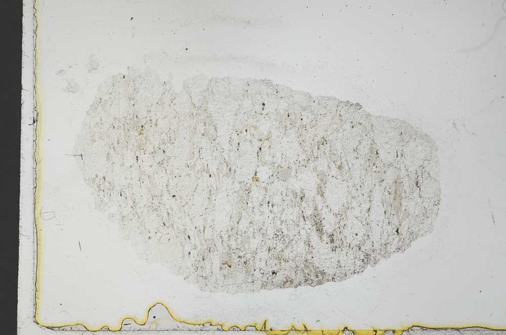 Plane Polarized, S31045