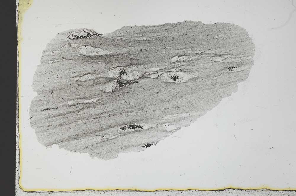 Plane Polarized, S31046