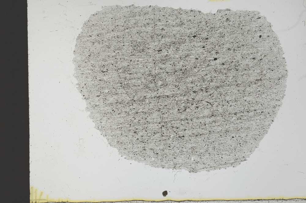 Plane Polarized, S31047