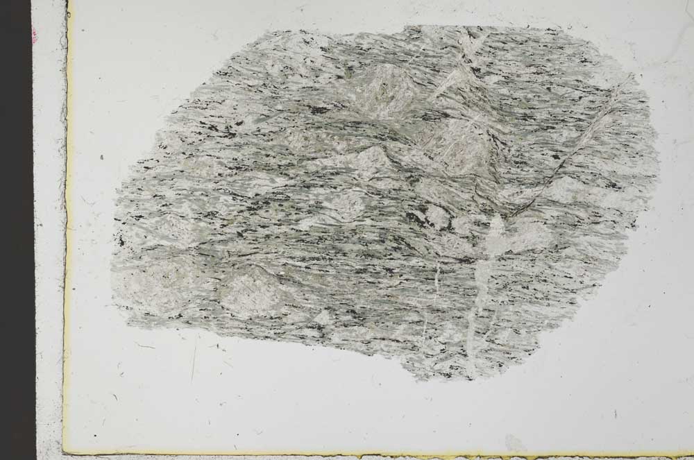 Plane Polarized, S31050