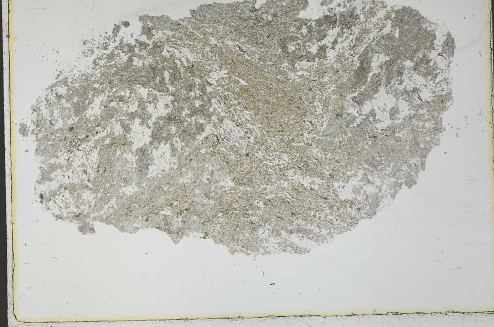 Plane Polarized, S31053