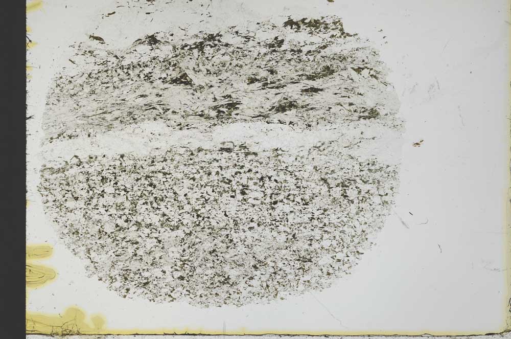 Plane Polarized, S31076