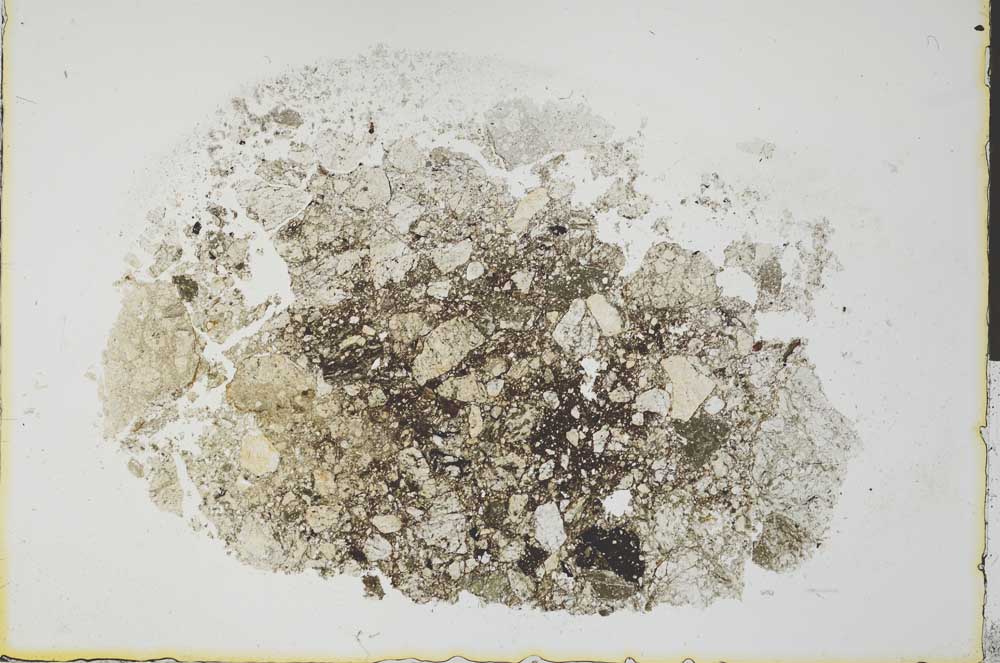 Plane Polarized, S31077