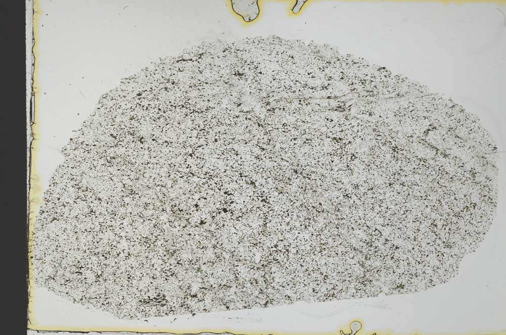 Plane Polarized, S31080