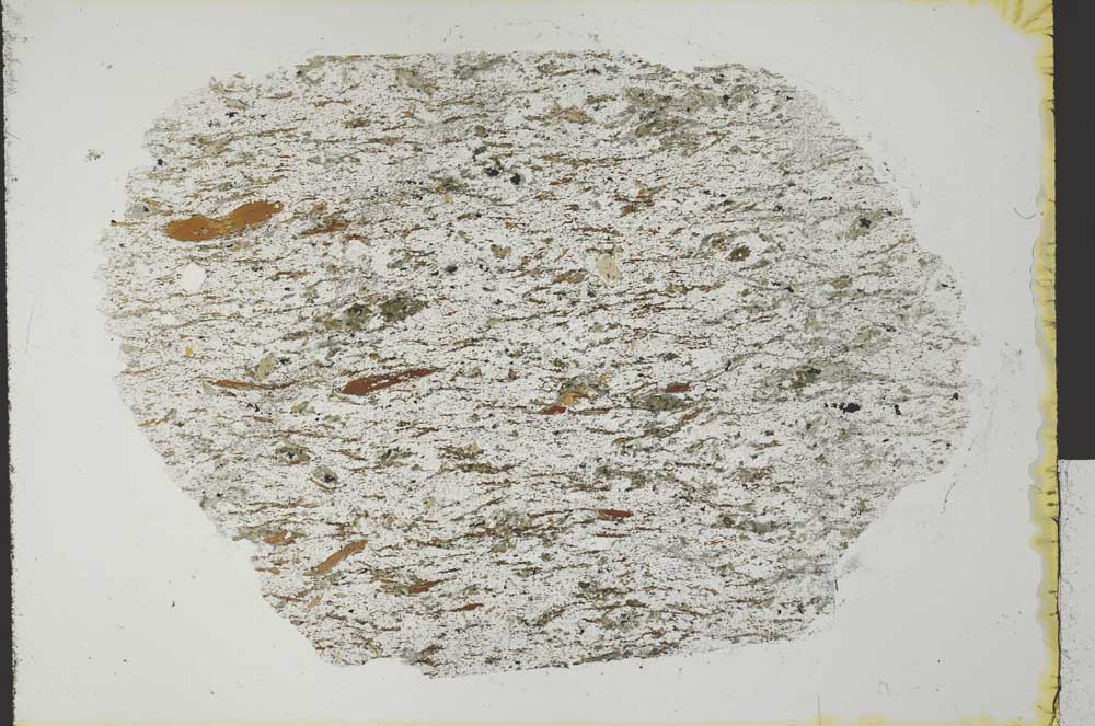 Plane Polarized, S31083