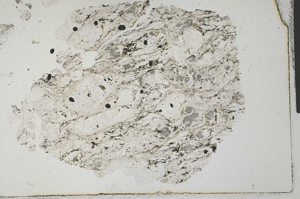 Plane Polarized, S31084